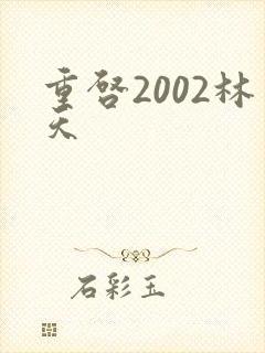 重启2002林天