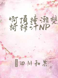 啊顶撞潮双H龙椅榨汁NP