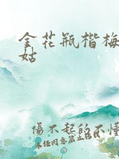 金花瓶楷梅花尼姑