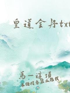 皇道金丹txt