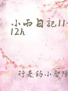 小雨日记11-12h