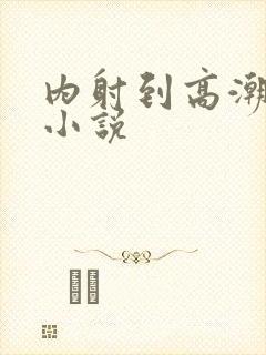 内射到高潮的H小说