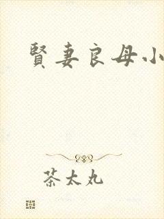 贤妻良母小说