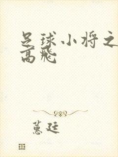 足球小将之展翅高飞