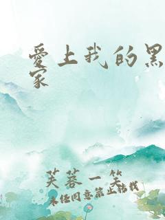 爱上我的黑道冤家