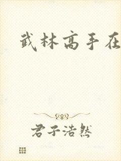 武林高手在官场