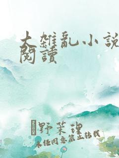 大杂乱小说目录阅读