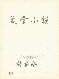 氪金小说