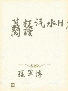 荔枝汽水H免费阅读