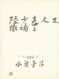 陆少夫人又双叒撒娇了