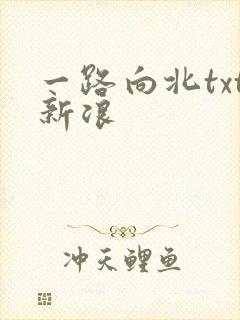 一路向北txt新浪