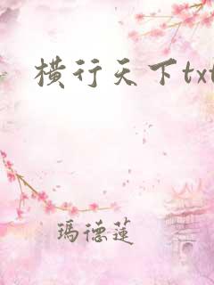横行天下txt
