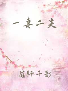 一妻二夫