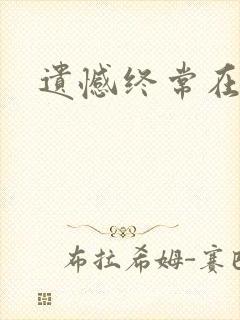 遗憾终常在小说