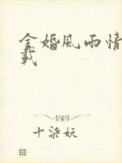 金婚风雨情 下载