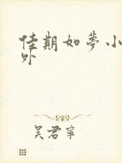 佳期如梦小说番外