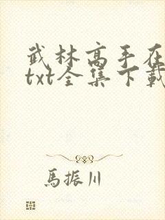 武林高手在异世txt全集下载
