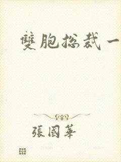 双胞总裁一个妻