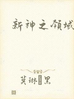 新神之领域
