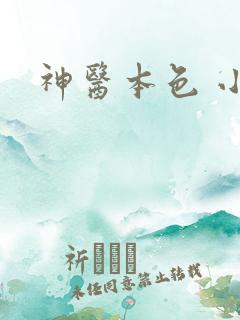 神医本色 小说