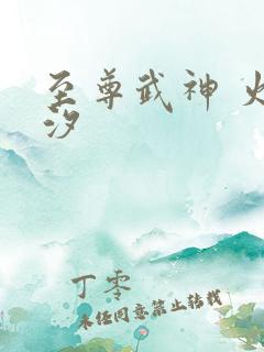 至尊武神 火龙汐