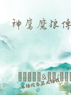 神鹰魔狼传