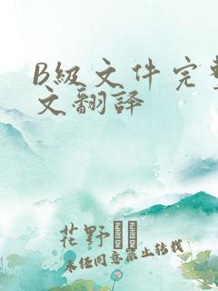 B级文件完整中文翻译