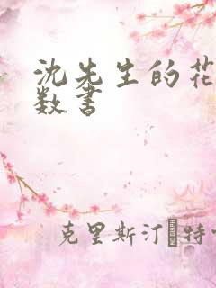 沈先生的花式调数书