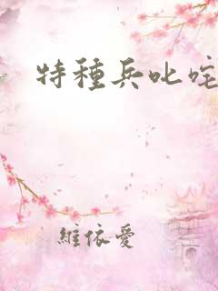 特种兵叱咤异界