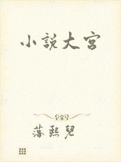 小说大宫