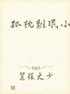 孤枕难眠小说