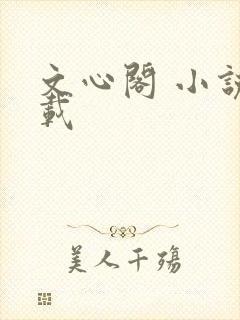 文心阁 小说连载