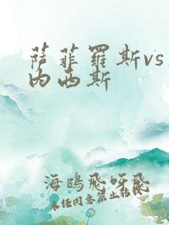 萨菲罗斯vs杰内西斯