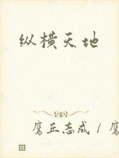 纵横天地