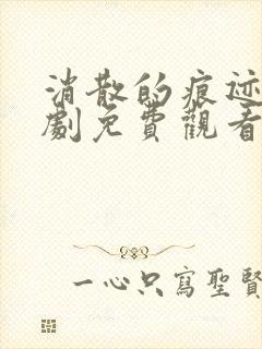 消散的痕迹电视剧免费观看完整版