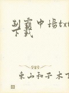 制霸中场txt下载