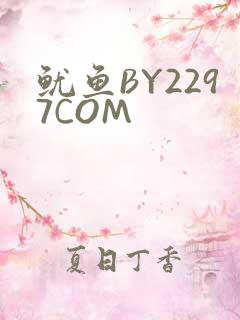 鱿鱼BY2297COM