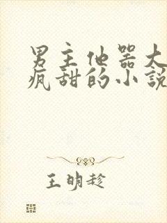 男主他器大活好疯甜的小说