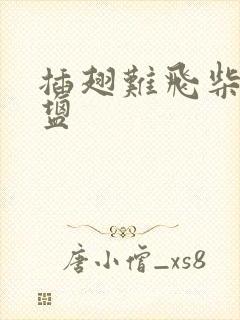 插翅难飞柴米油盐