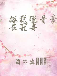 总裁猎爱豪门一夜宠妻