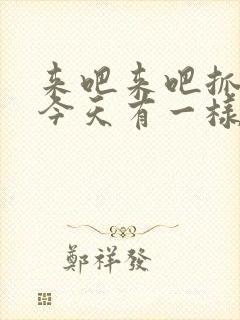 来吧来吧抓紧点今天有一样好东西