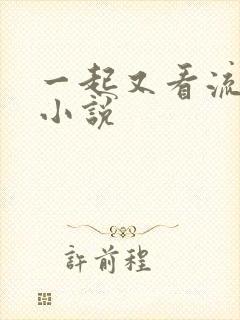 一起又看流星雨小说