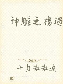 神雕之杨过新传