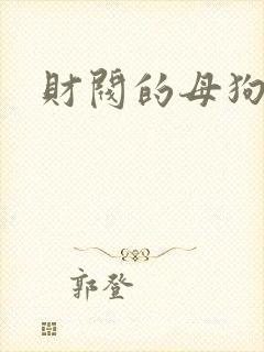财阀的母狗们