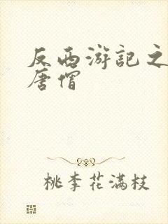 反西游记之混混唐僧