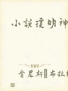 小说琼明神女录