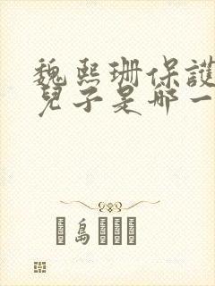 魏熙珊保护萧峥儿子是哪一集