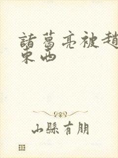 诸葛亮被赵云塞东西