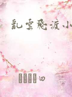 乱云飞渡小说