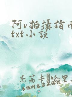 阿v拍摄指南说txt小说